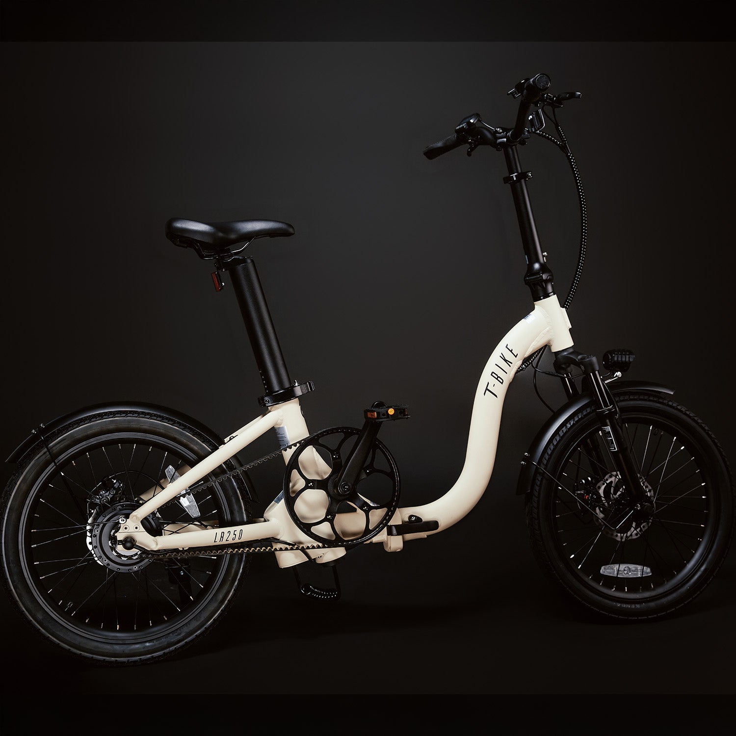 T-Bike LR250 - Türkis