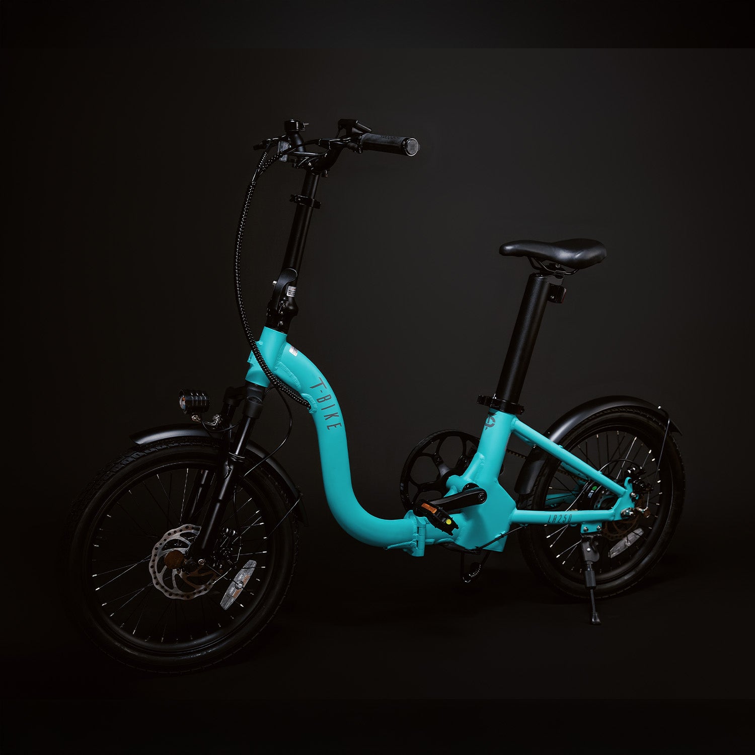 T-Bike LR250 - Türkis
