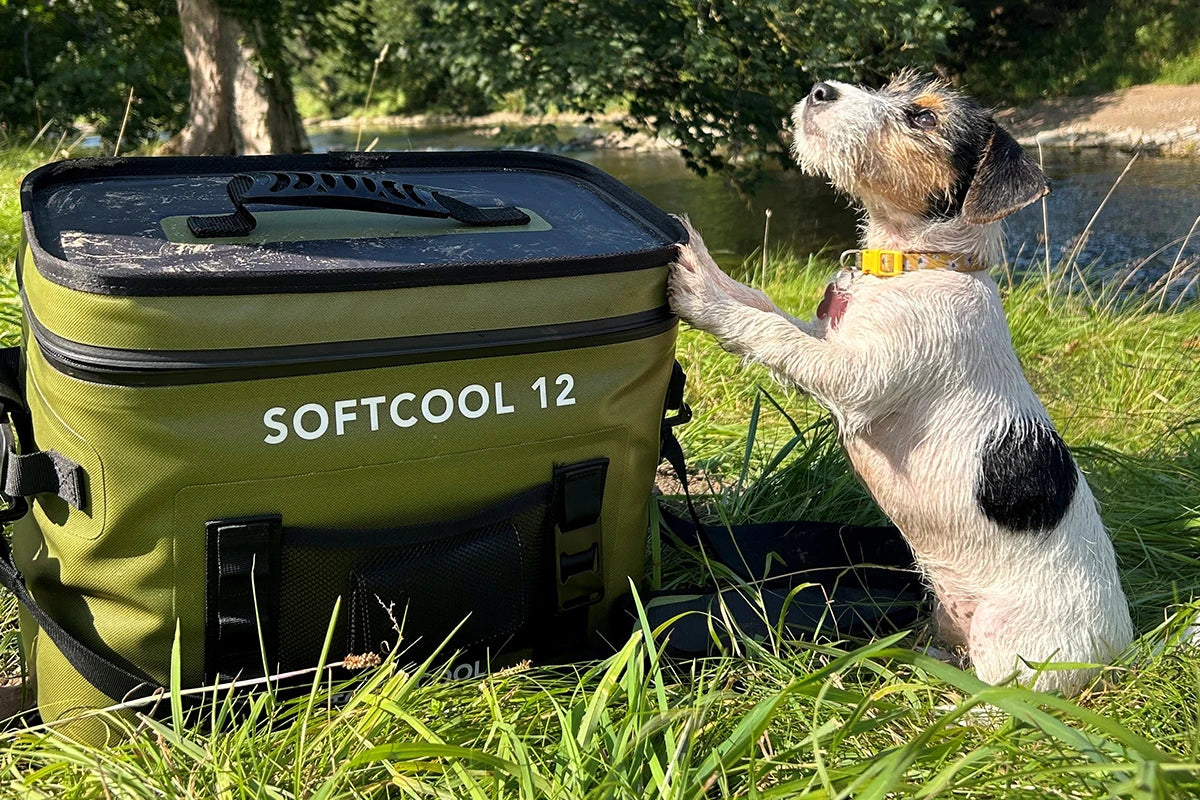 Soft Cooler vs Hard Cooler: Which Is Better for UK Camping?