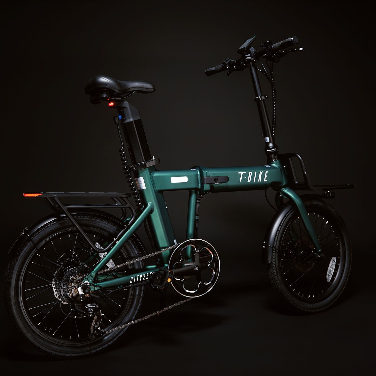 T-Bike CITY250 – Grün
