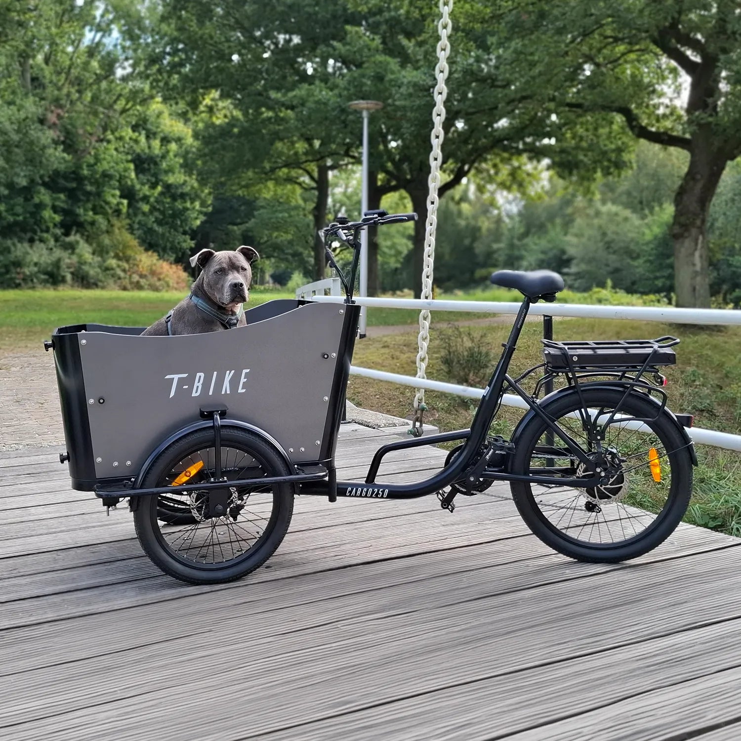T-Bike Cargo 250 – Lastenrad (Bakfiets)