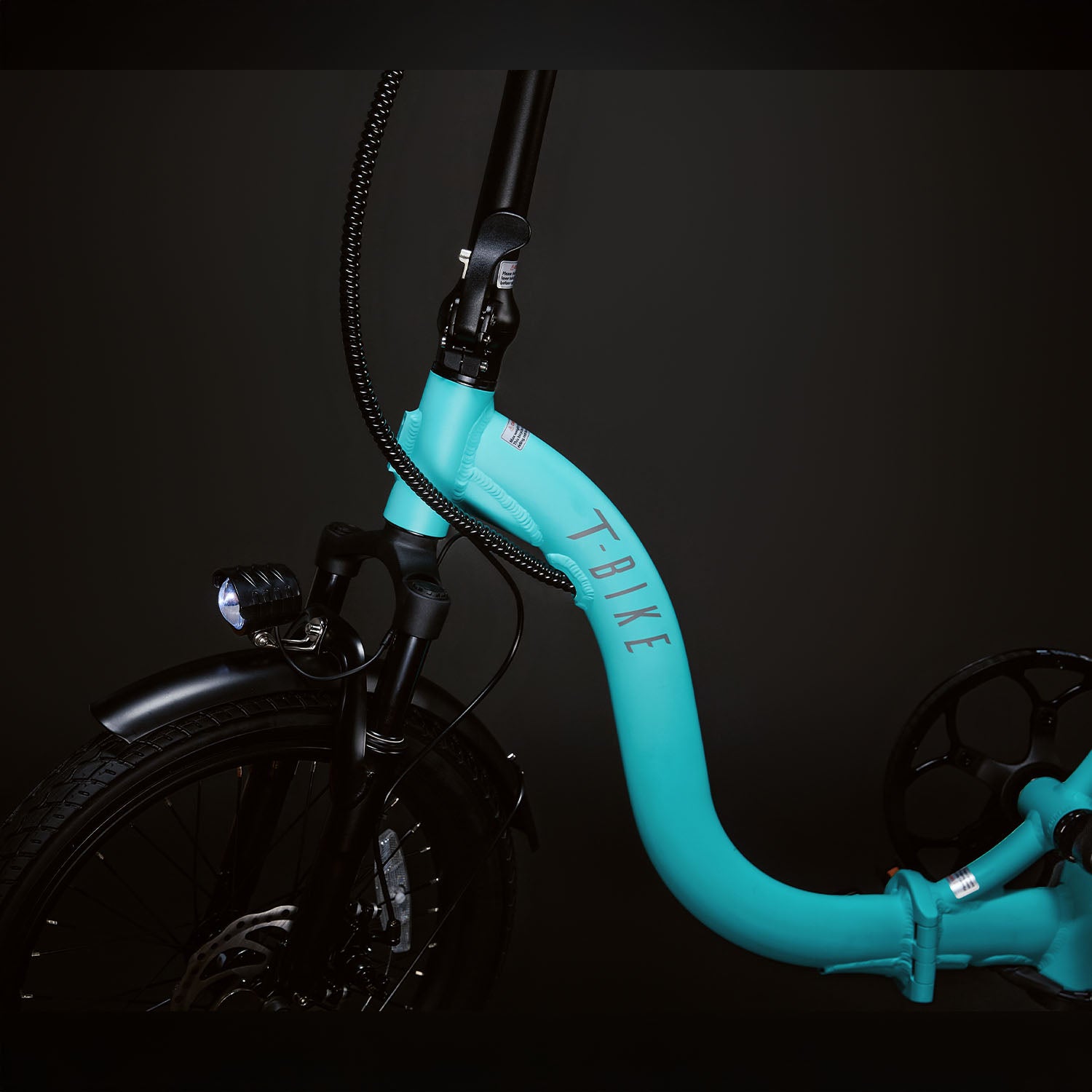 T-Bike LR250 - Türkis