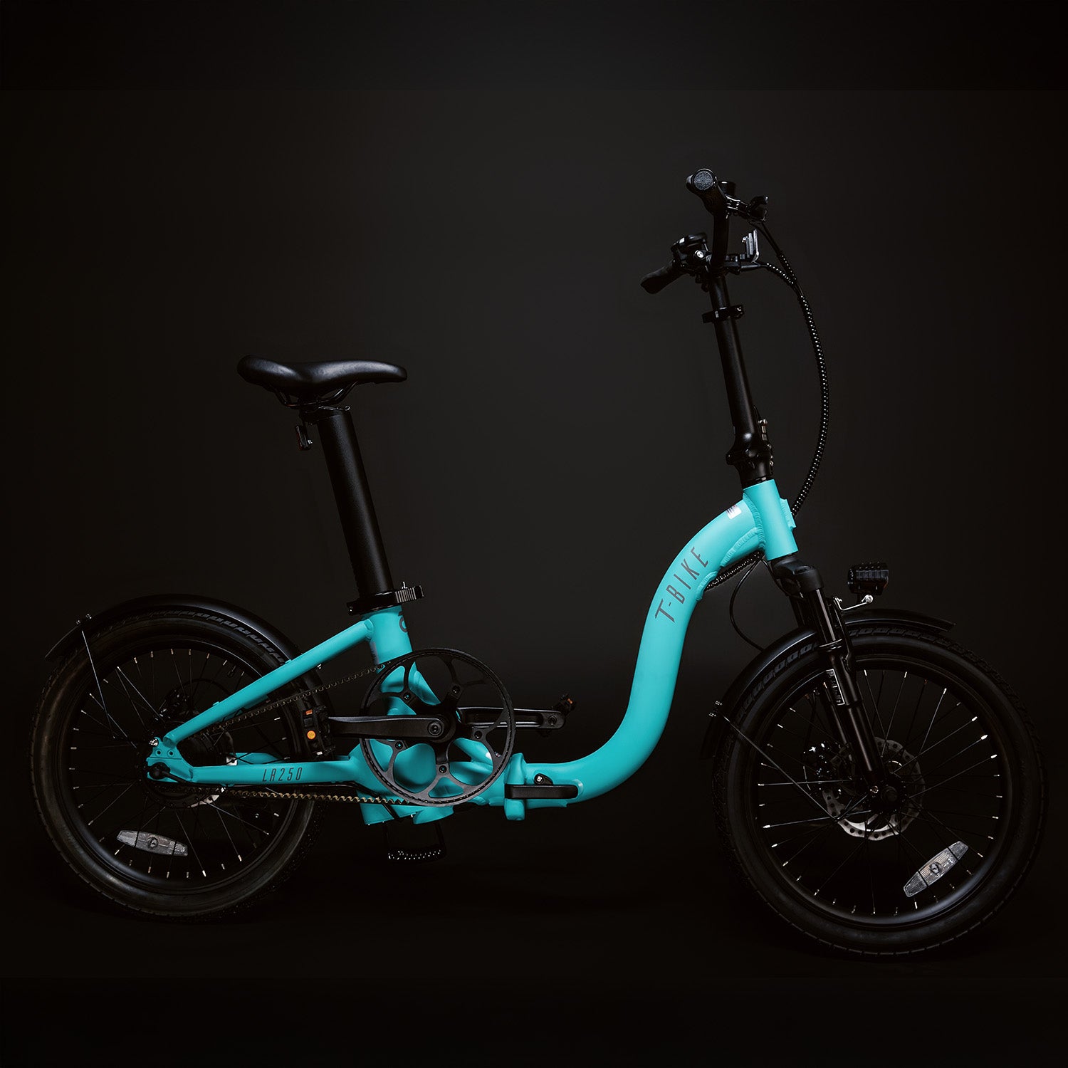 T-Bike LR250 - Türkis